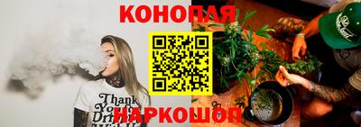 тгк Кудрово