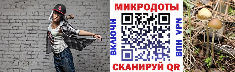 наркотики  Златоуст  Галлюциногенные грибы Cubensis 