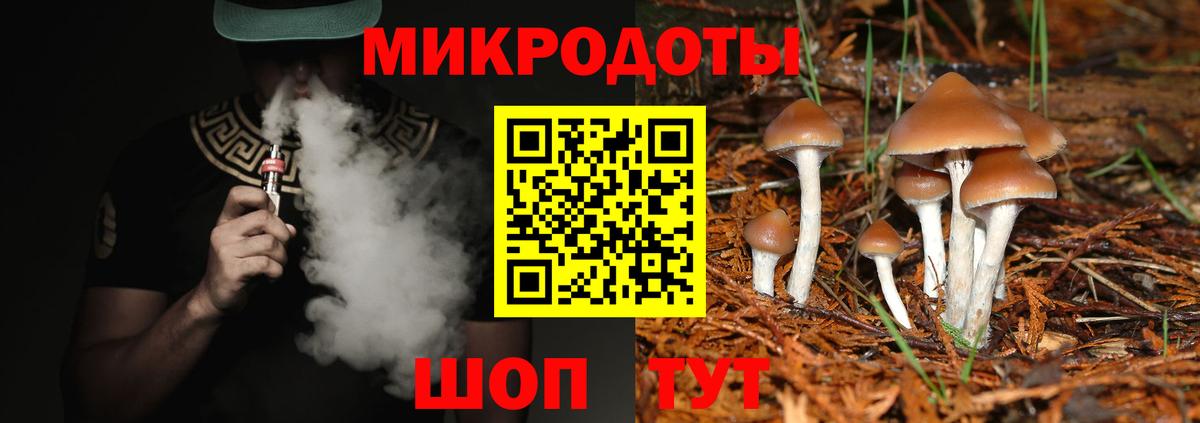 Златоуст  Псилоцибиновые грибы Cubensis  Вход с VPN 