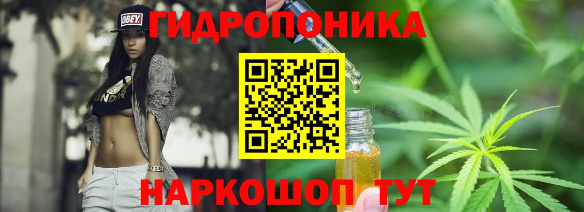 Марихуана Ganja  Шишки марихуана Bruce Banner  Златоуст  Бошки марихуана марихуана  Конопля план  Вход с VPN 